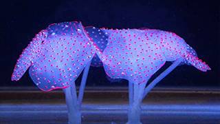 Aquarium Glowing Mushroom and Glowing Coral Ornaments Decorations for Fish Tank