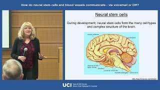 How Do Neural Stem Cells & Blood Vessels Communicate –Via Voicemail or DM? Profile