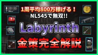 【タルコフ】1回で800万!? Labyrinth金策完全解説! NL545最強! 【Tarkov】【PVE】