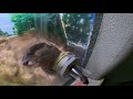 サンピアザ水族館 の動画、YouTube動画。