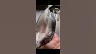 HIGHLIGHT 5:31:35:05 - 5:36:35:05