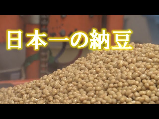 The Best Natto in Japan! A 119-Year-Old Food Company with a Hidden