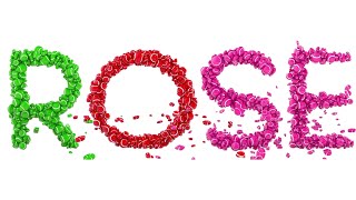 Most Viewed Learn Abcs With Rose 3D Candiessponsored Gamavision Csupo 1983 Effects