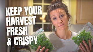 Best Way to Preserve Green Beans (and keep them crispy and fresh!) How To Blanch And Refresh Green Beans