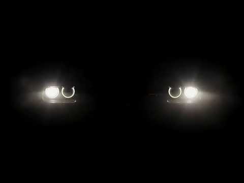 JAQ "My Megan Fantasy" Video