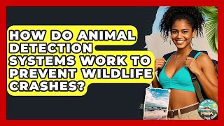 How Do Animal Detection Systems Work To Prevent Wildlife Crashes? - Road Trip Tour Guide