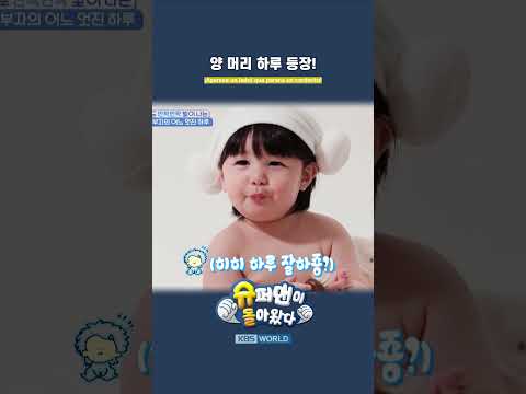 Bebé con pelo de oveja #ERDS #elregresodesuperman  | KBS WORLD TV
