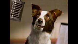 Advantage Flea Control (1999) Television Commercial