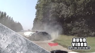 Auto Vines №109