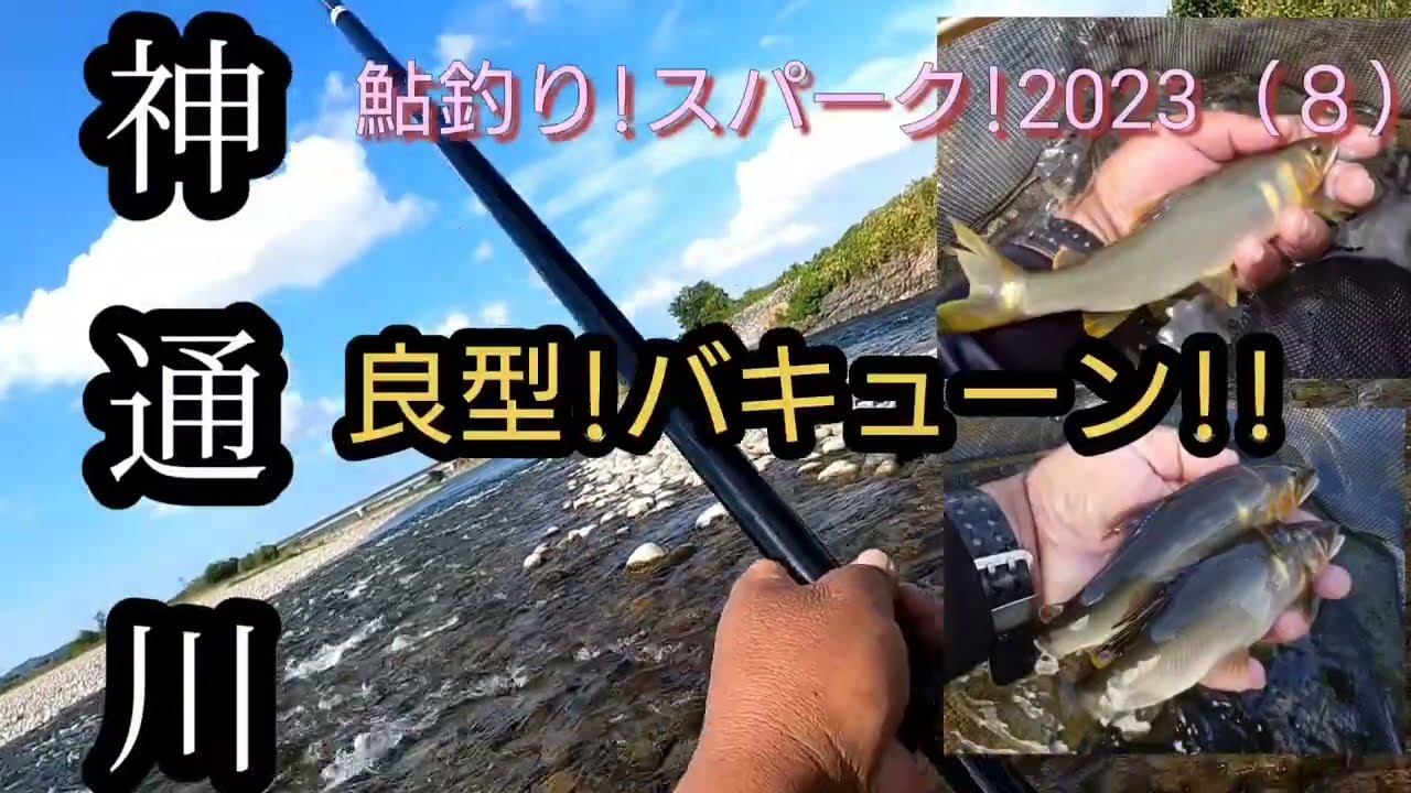 神通川。良型!バキューン!!鮎釣りスパーク!2023（８）