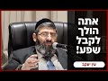 הרב אייל עמרמי קשה לך יופי אתה הולך לקבל שפע כו אלול תשפ ד הרב אייל עמרמי קשה לך יופי אתה הולך לקבל שפע כו אלול תשפ ד