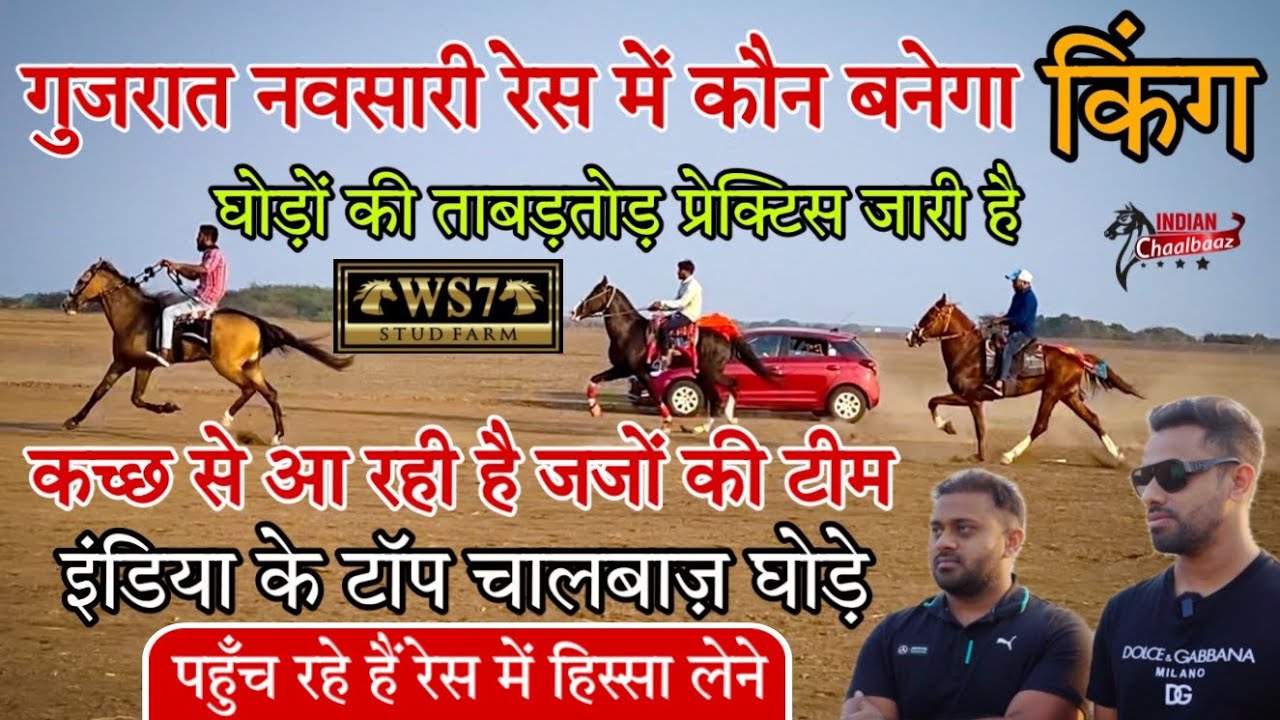 Navsari Race में कौन बनेगा किंग घोड़ो की ताबड़तोड़ प्रेक्टिस जारी है कच्छ से आ रही है जजों की टीम