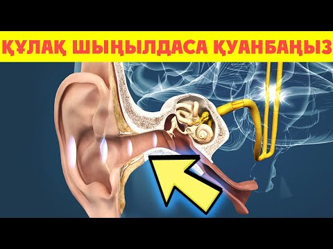 Бейне: Құлақ термометрін қалай қолдануға болады: 10 қадам (суреттермен)