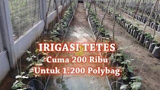 IRIGASI TETES MURAH DAN MUDAH