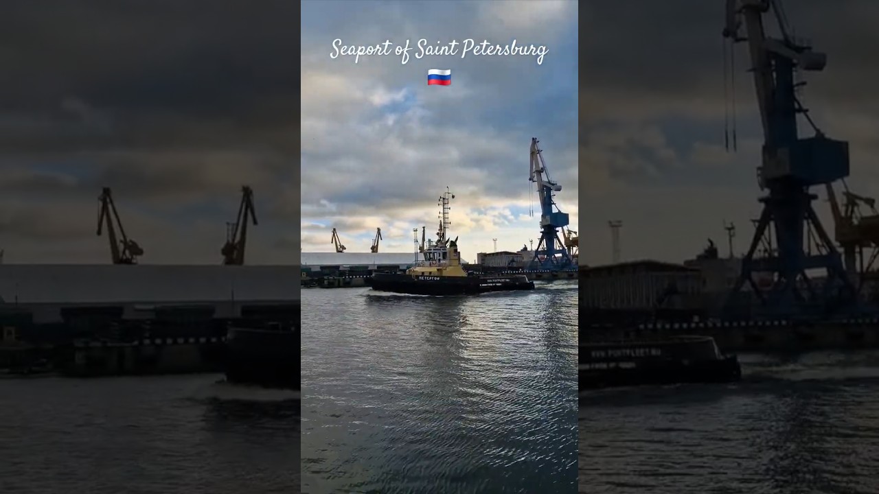 Inside the Secret Life of St. Petersburg's Seaport