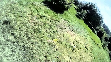Hoverthings Flip 260 fpv