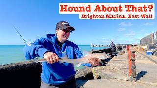Brighton Marina East Wall Plaice Chase