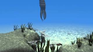 Ordovician marine life by igpcolorado 3,817 views 10 years ago 20 seconds