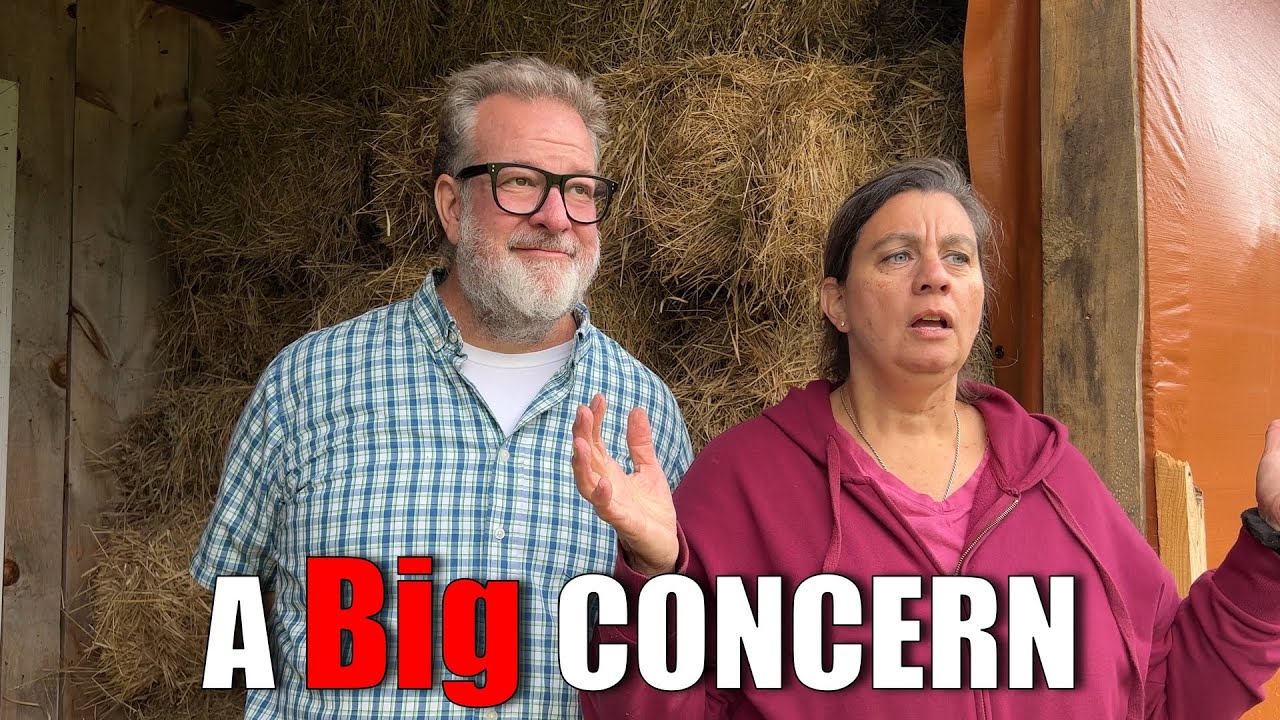 A Big CONCERN | Big Family Homestead - YouTube