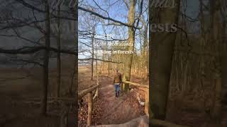 Daily life in the Netherlands - walking in forests