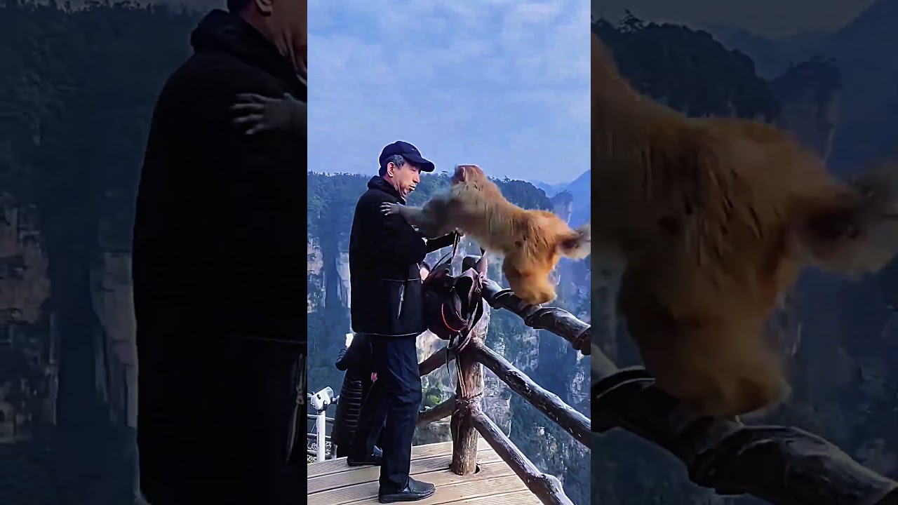 Animals That Break The Internet Daily 🌐 