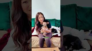 Meet Wendy 🐾 Tiny Dog with a Big Personality | Senior Dog BNB