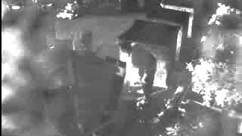 Video Verification In Action - Part 1 - Signature Security Group