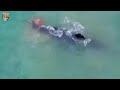 10 TRACK MY OCEAN МІЙ ОКЕАН 