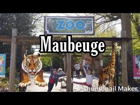 Une journée au zoo de maubeuge ! funfamilywd