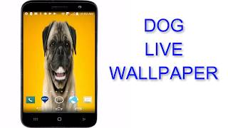 Pug Dog Live Wallpaper - Free screenshot 5