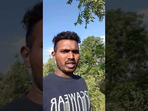 Kalala prapancham kallola prapancham