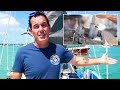 How to quickly & easily service an outboard motor carburetor