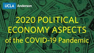 2020 “Political Economy Aspects of the COVID-19 Pandemic”