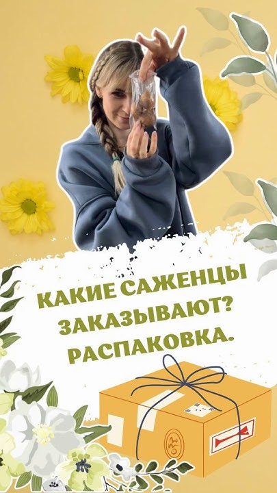 Какие саженцы заказывают? Распаковка посылки! #питомникросток # ...