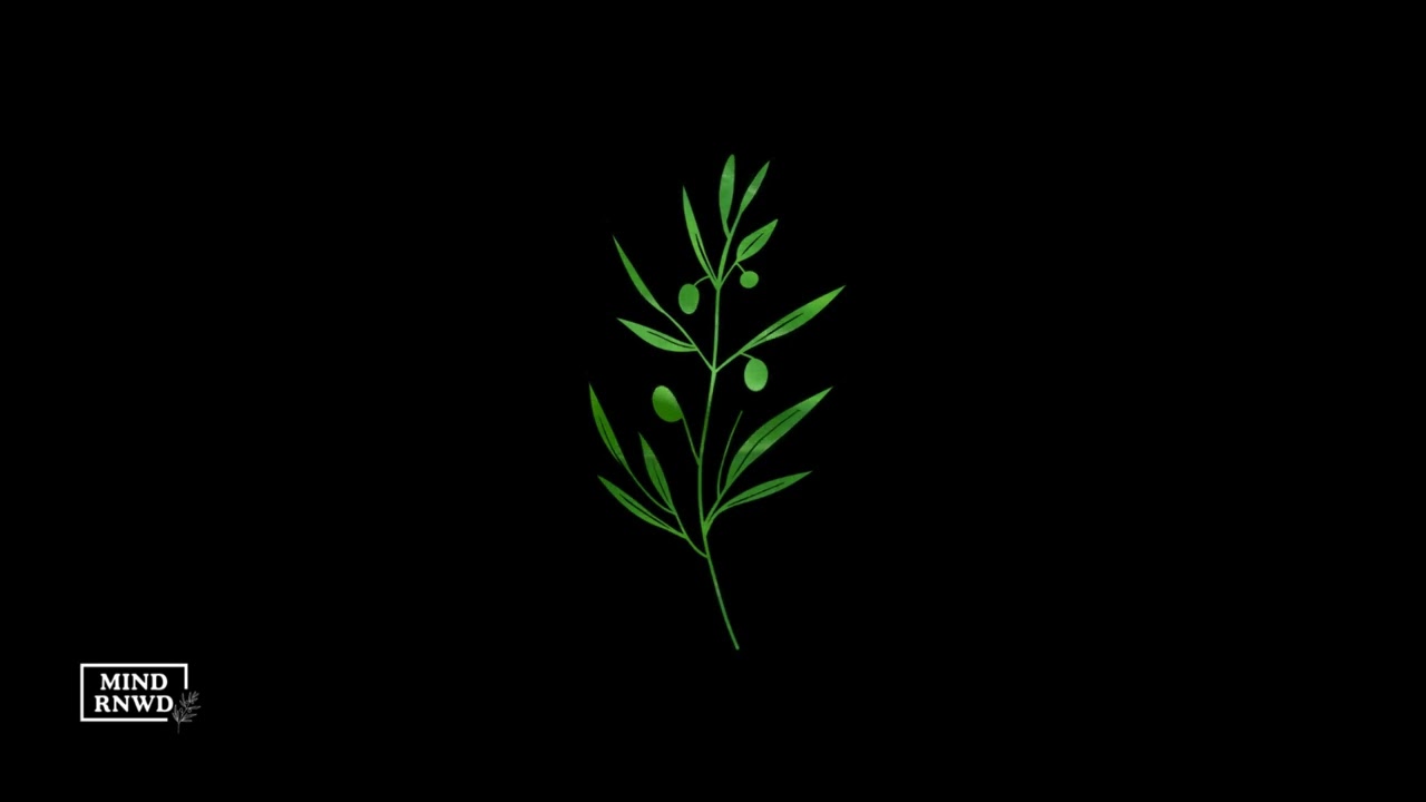 Letting Work Compound Quietly | A Reflection on Slow Growth | Black Screen