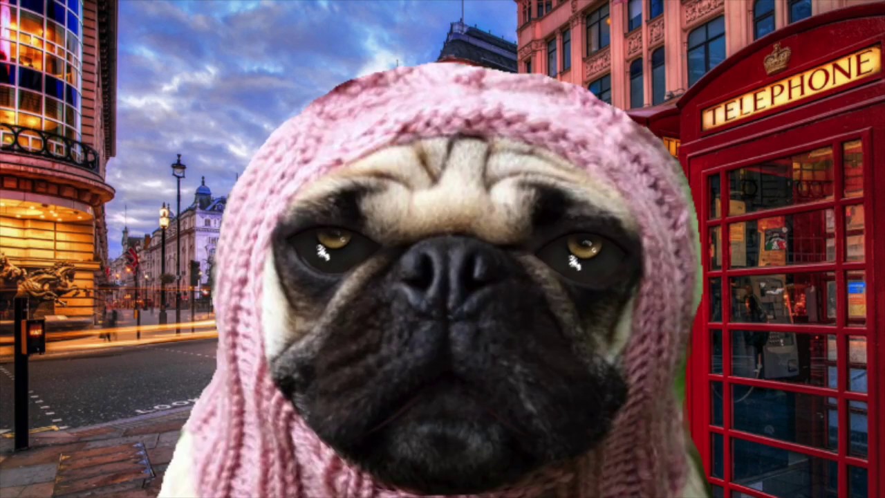 SIMPLE METHOD - EARN MONEY - GANN SQUARE OF 9 CALCULATOR