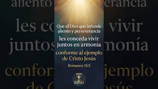 Dios nos llama a vivir en armonía #fe60 #versiculo  #romanos15