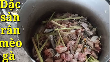 Rắn mèo gà món ngon mời bạn hiền.hồ Quang vlogs