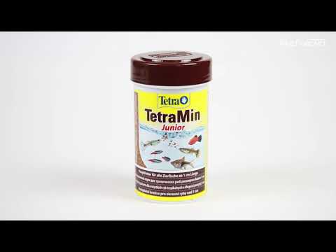 Tetra Min Junior