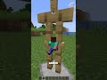 Fitting Through vs Variety Of Gaps #shorts #meme #minecraft