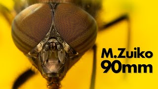 M.zuiko 90Mm F3.5 Long Term Review The Best Macro Lens Money Can Buy?