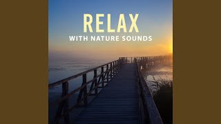 Bird Sounds screenshot 1