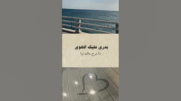عادك الا صغير بدري عليك الهوى ابو بكر سالم 
