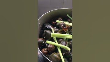 Luộc ốc chấm cơm mẻ ngon quá trời luôn