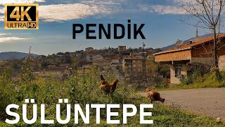 Sülüntepe Pendik Walking Tour [Mahallenin delikanlısı tarafından uyarıldım] | İstanbul | 2021 | 4K