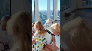 The lovely Baby is enjoying home activities. Cute Video!