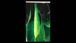 Interior design ideas ~ Wall Canvas Painting ~ Green Highlights
