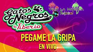 Los Incontenibles Gatos Negros - Pégame La Gripa en Vivo!