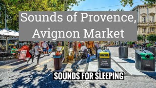 🌾 Relaxing Provence, Avignon Market ○ French speaking, hustle & bustle ○ ASMR Summer Nature Ambience screenshot 1