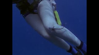 Remora Finds Interest In Female Scuba Diver 1990S